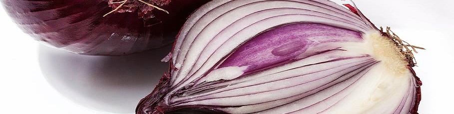 layered onion skin security